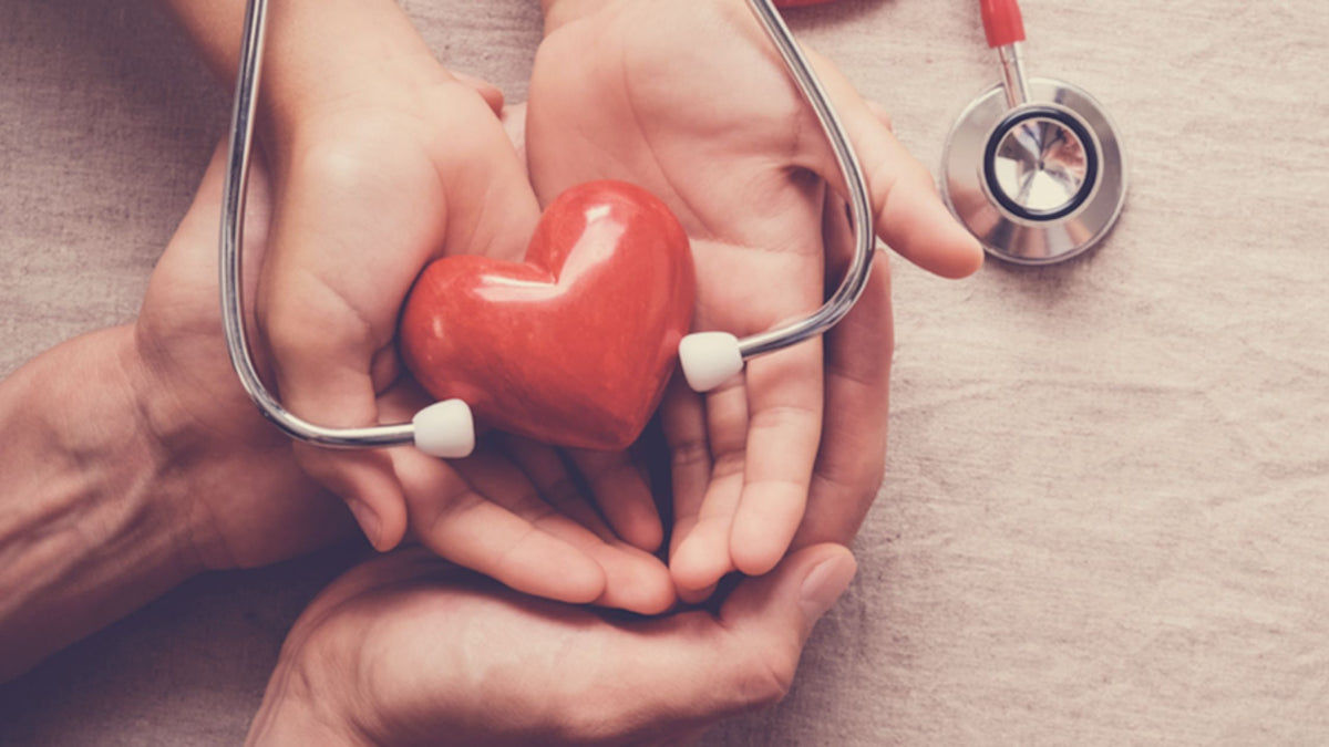 Harmonizing Heart Health: Bergamot and Cholesterol Management