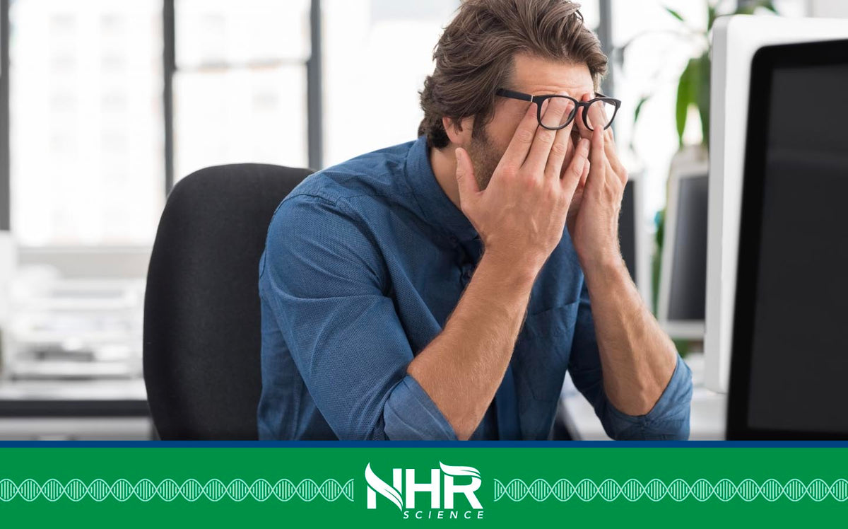 Time To Chill – Stress Can Harm Your Body!