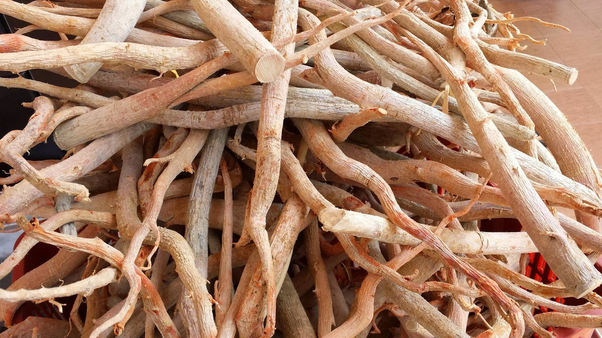 Tongkat Ali - Natural Boost for Testosterone Levels