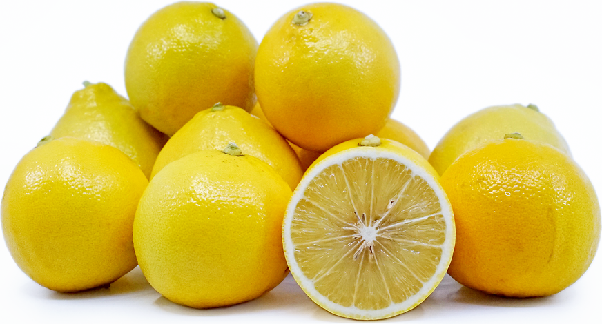 Harnessing Nature's Bounty: Exploring the Synergy of Nutritional Supplements and Bergamot