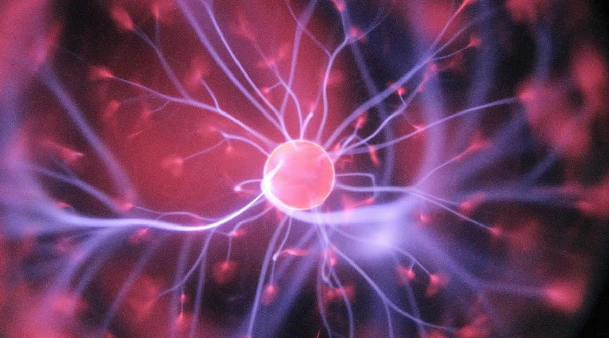 The Importance of Maintaining Brain Health