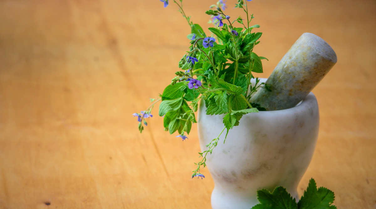 Embracing Nature's Bounty: The Benefits of Buying Herbal Products