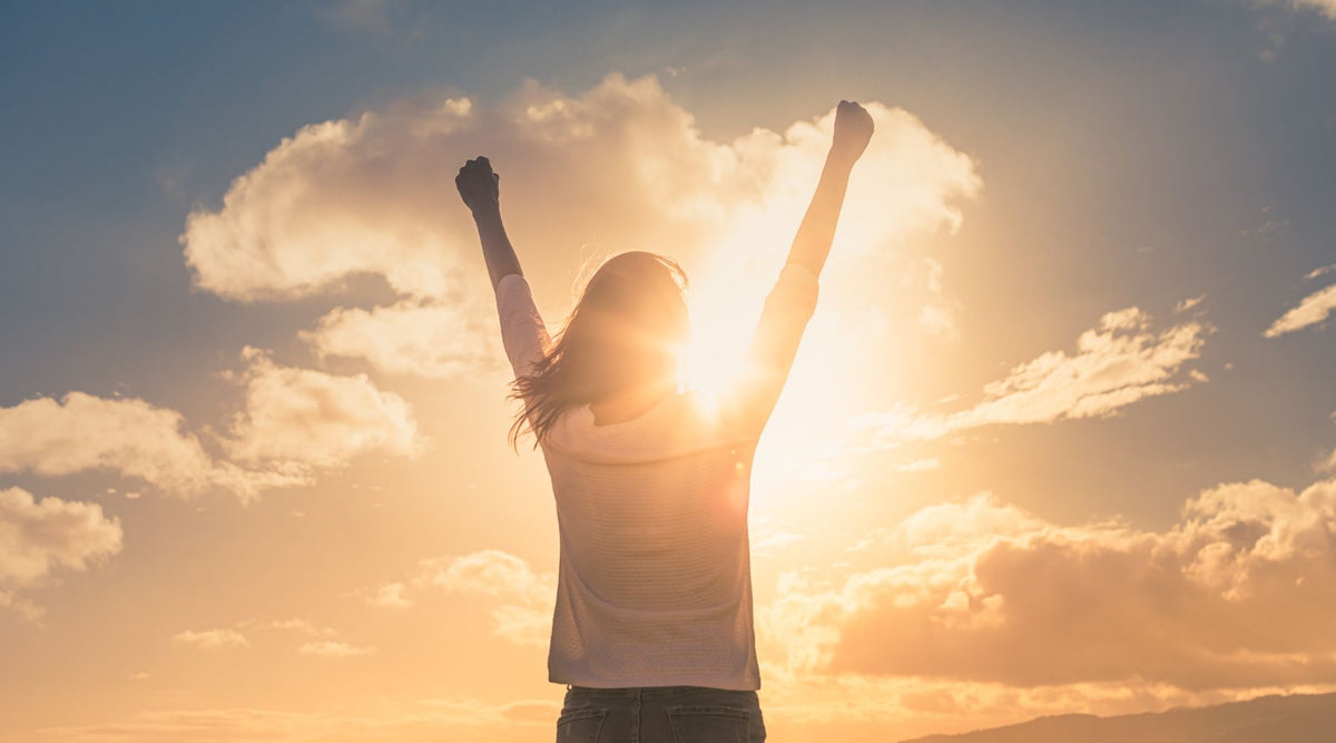 Guardians of Health: Unleashing the Power of Immune Defense