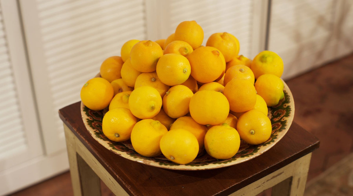 Unlocking the Power of Bergamot: Best Natural Weight Loss Supplement