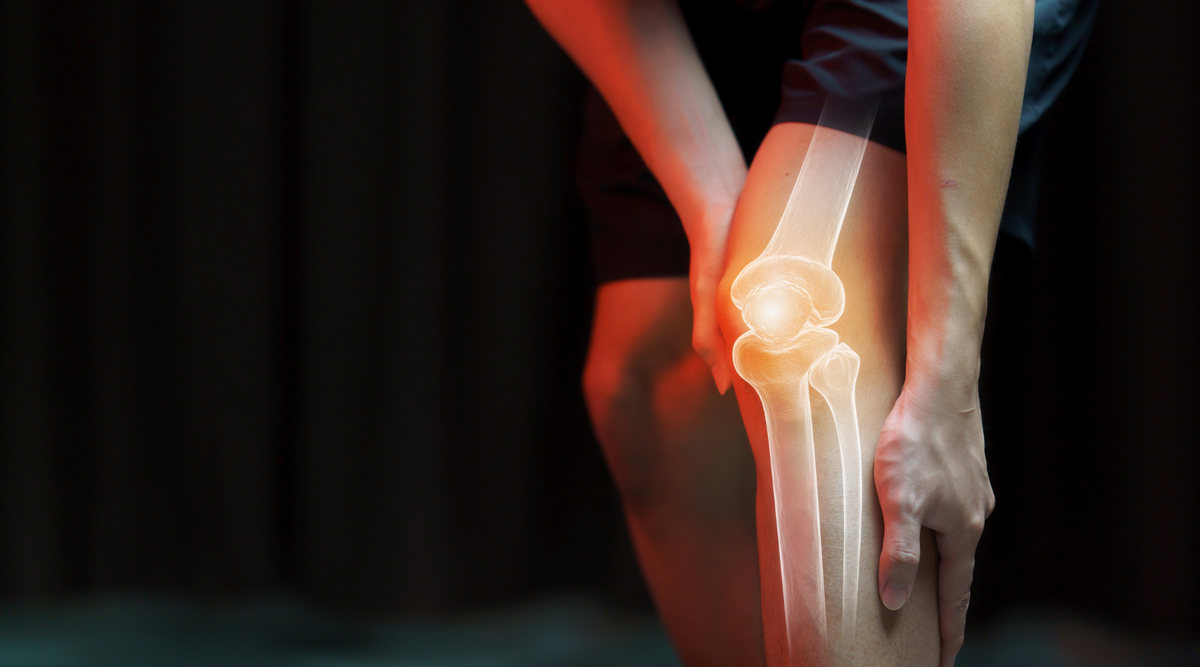 The Remarkable Benefits of Andrographis Paniculata for Joint and Muscle Health