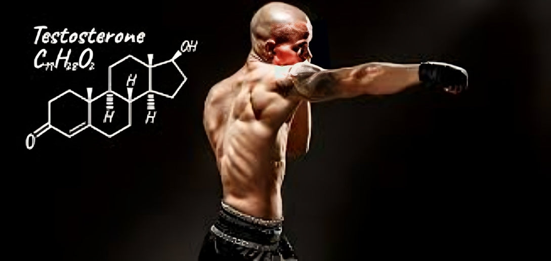 The Hormonal Potential: Examining Tongkat Ali's Influence on Testosterone Levels