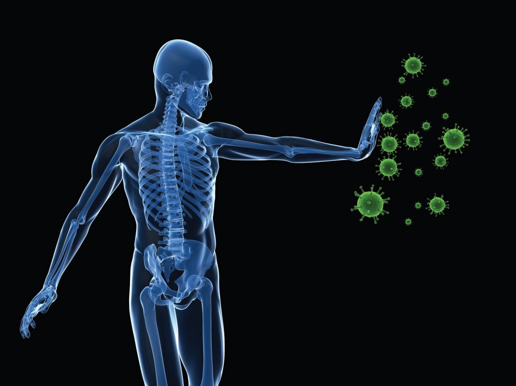 Nourishing Defenses: Exploring the Vital Vitamins for Immune Protection