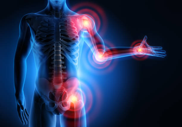 Nourishing the Foundation: The Best Vitamins for Bones Joints Muscle Health