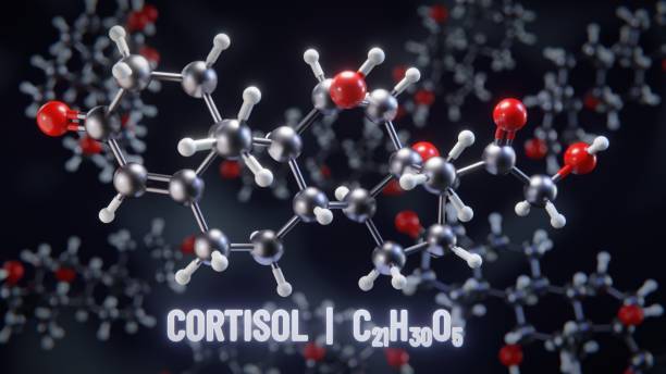 Cortisol Regulation with Tongkat Ali