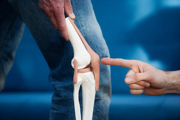 The Silent Support: Unveiling the Wonders of Healthy Cartilage