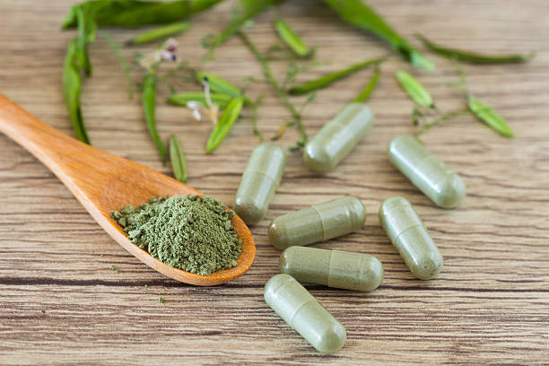Discovering the Healing Power of Andrographis Paniculata: A Comprehensive Guide