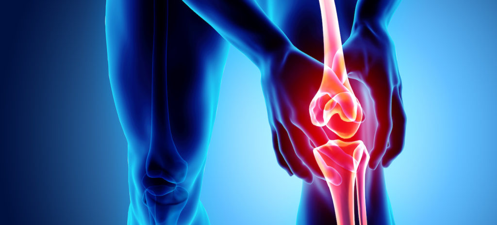 The Healing Power of Andrographis: A Natural Anti-Inflammatory Solution