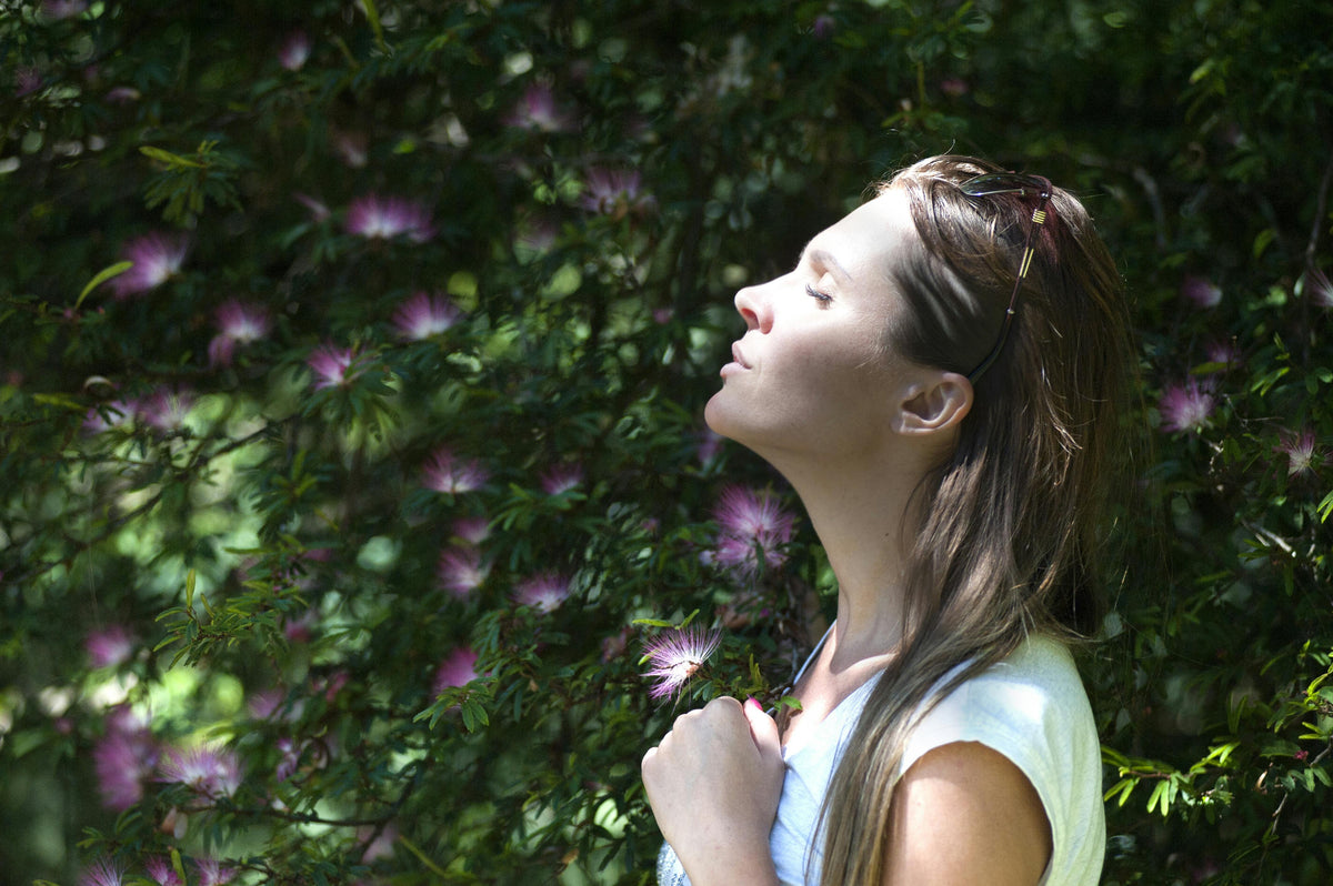 Tranquility: Tongkat Ali and the Art of Stress Relief