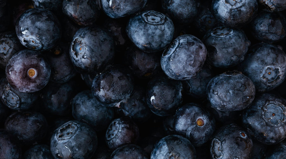 Introducing the Maqui Berry: The Reigning King of All Berries with Remarkable Antioxidant Power
