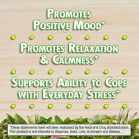 BlissCare® - Promotes Dopamine Production to Regulate Mood